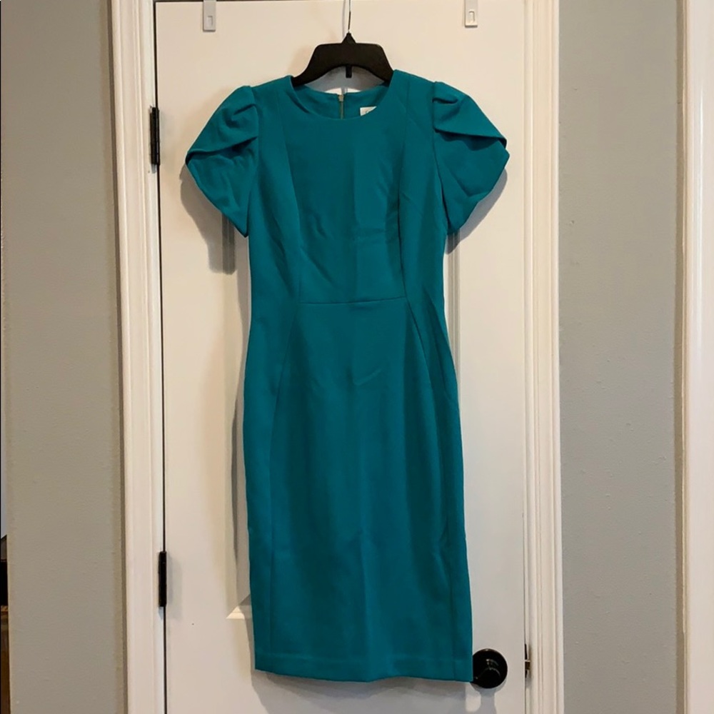 Green Calvin Klein dress with gold zipper in back